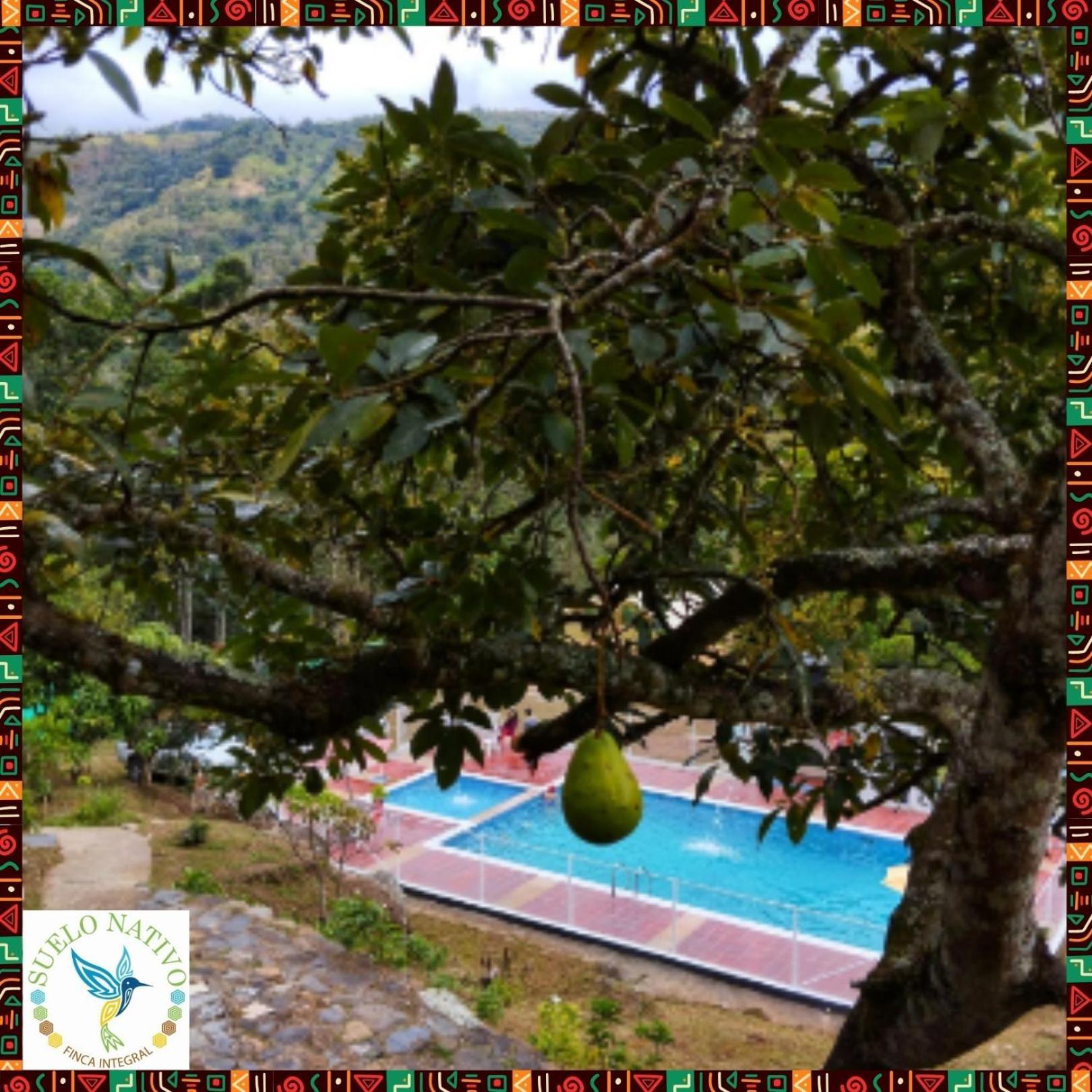 Hotel Finca Integral Suelo Natiivo "Integramos El Campo Con Tu Bienestar" Guaduas Exterior foto