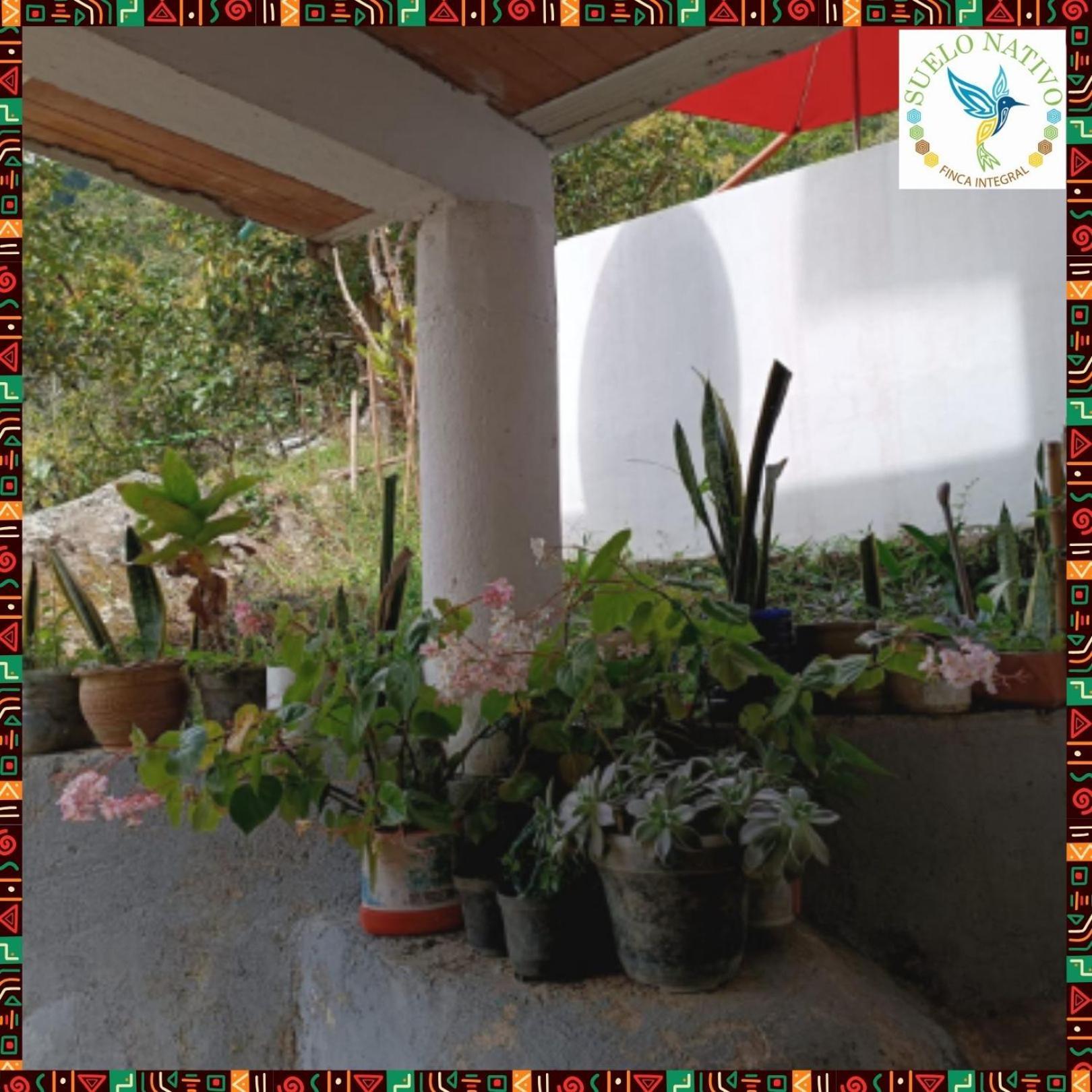 Hotel Finca Integral Suelo Natiivo "Integramos El Campo Con Tu Bienestar" Guaduas Exterior foto